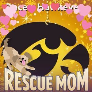 Meet your Posher, Connie